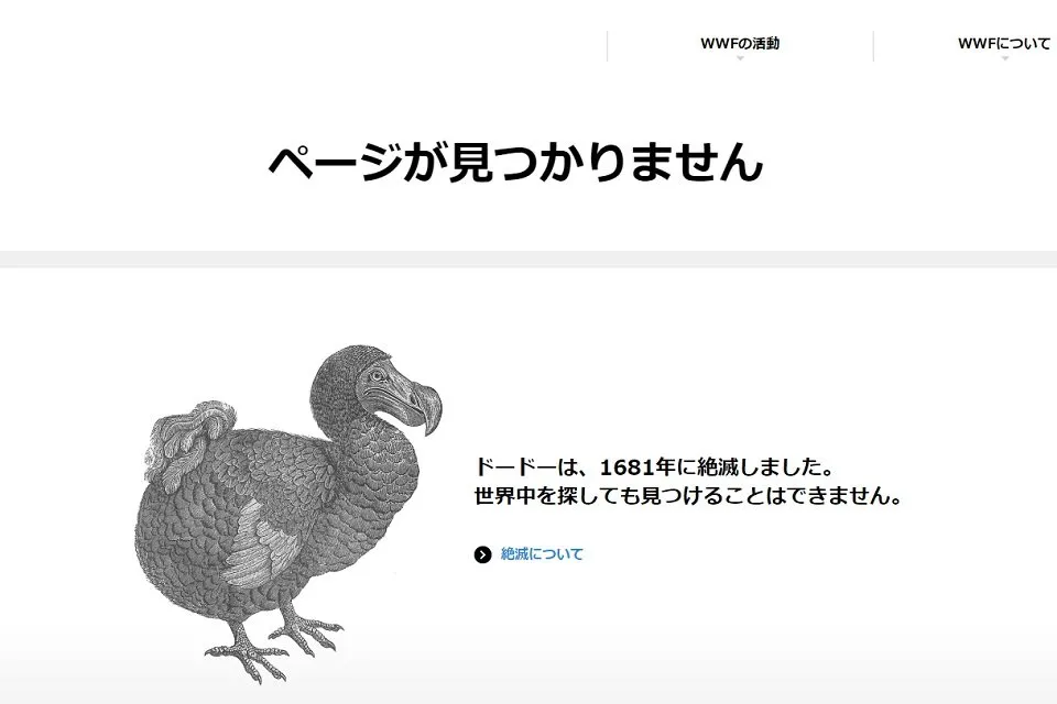404