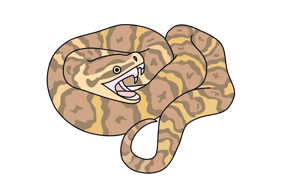 viper