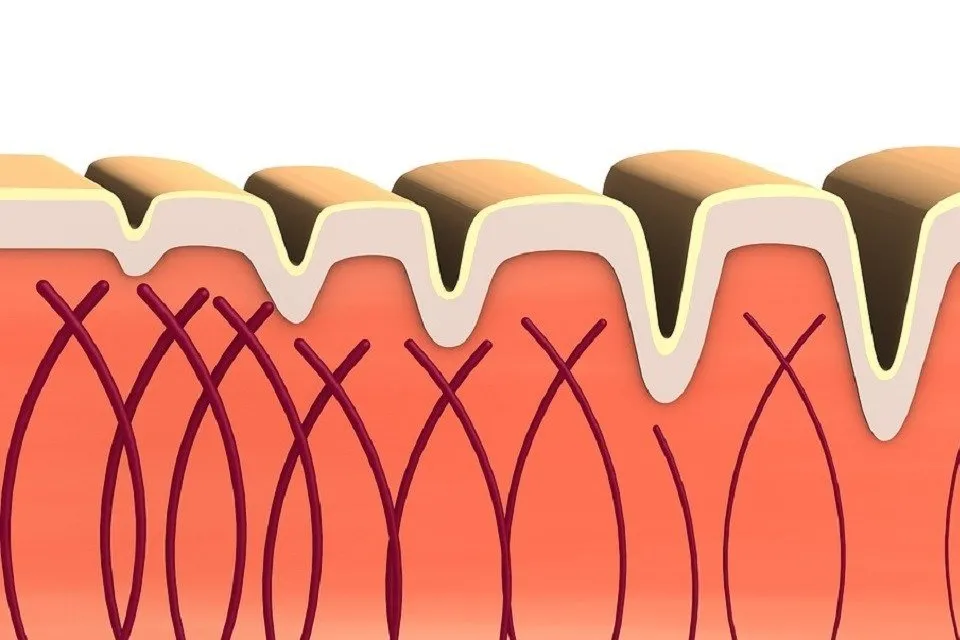 collagen