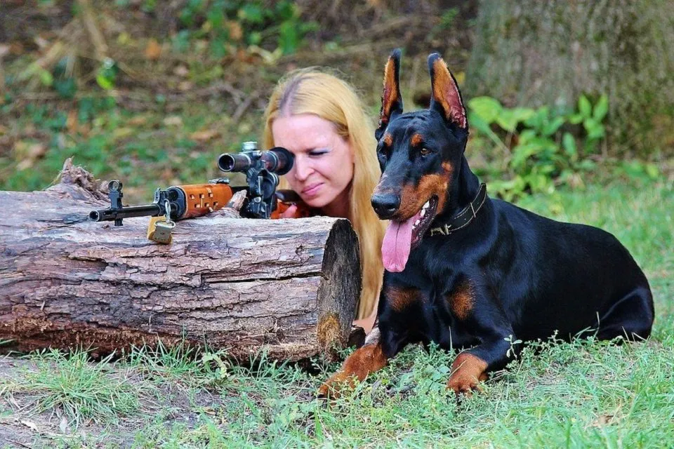 partner-dog