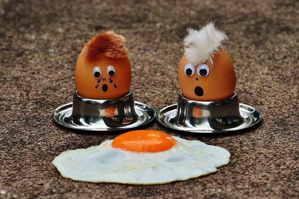 egg