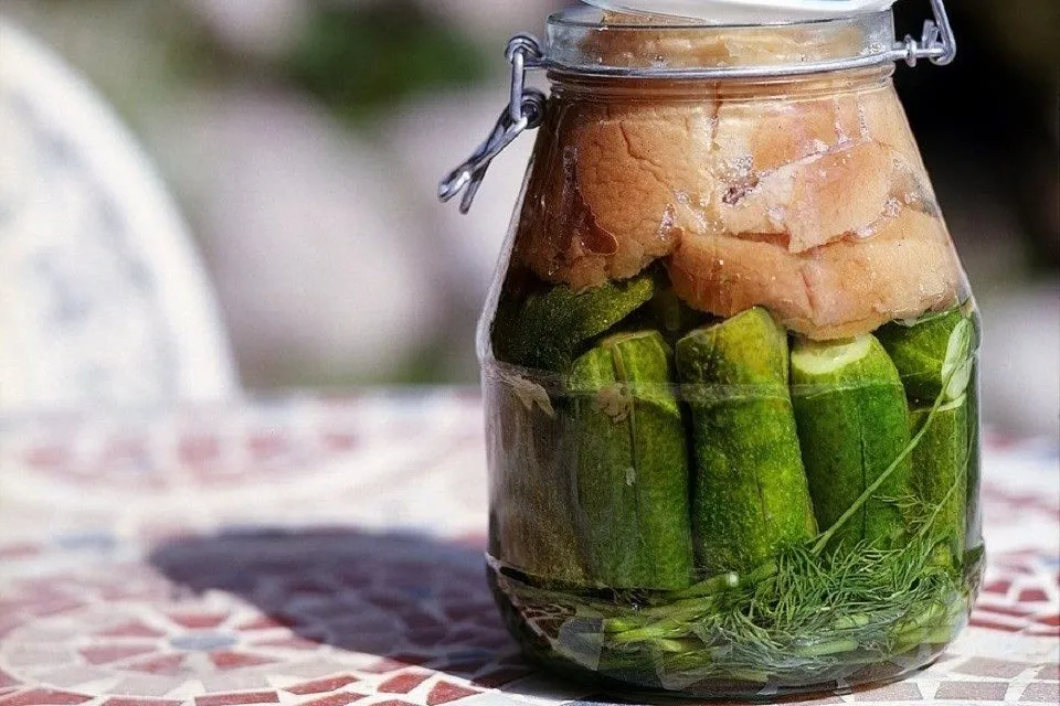 fermentation