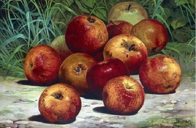 bad-apple