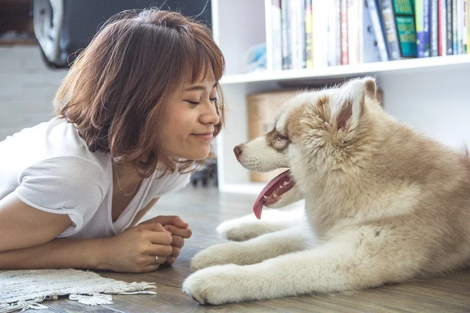 smile-dog