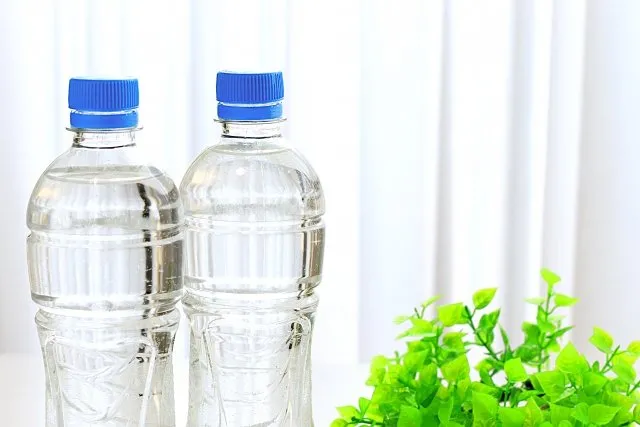 2本のペットボトル入り飲料水
