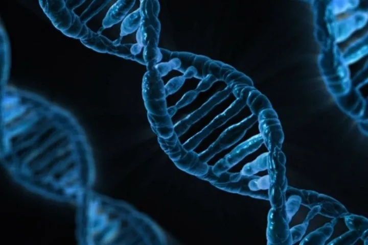 gene