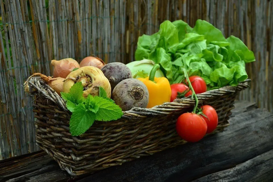 Vegetables