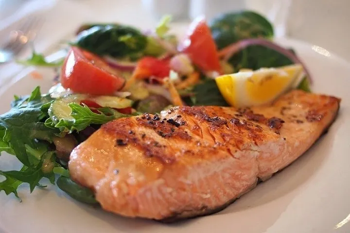 salmon