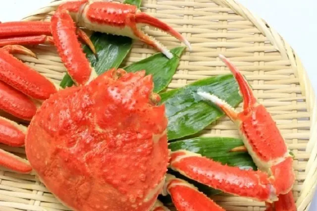 kanimiso