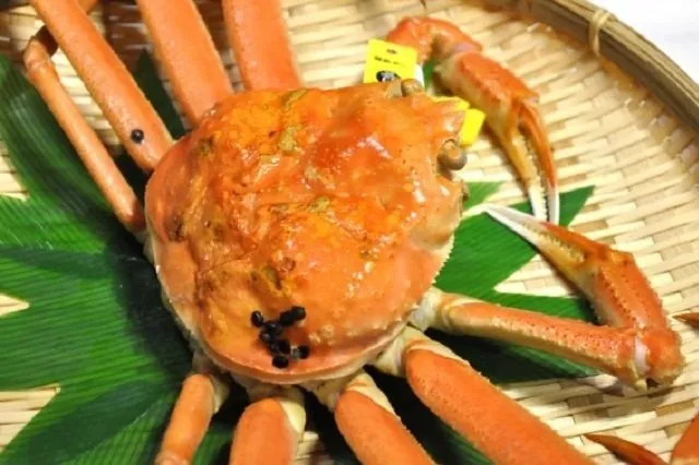 kanimiso