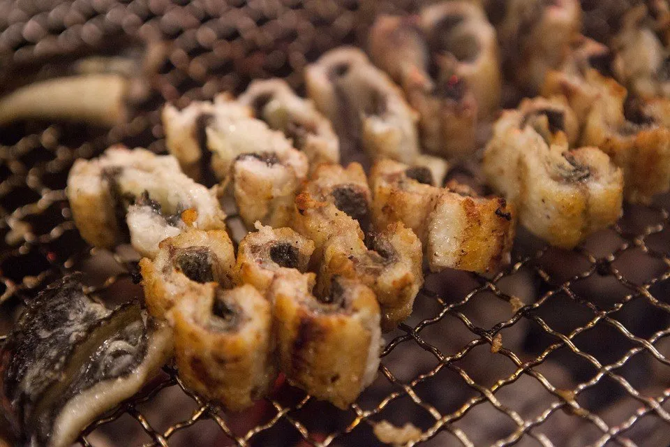 unagi