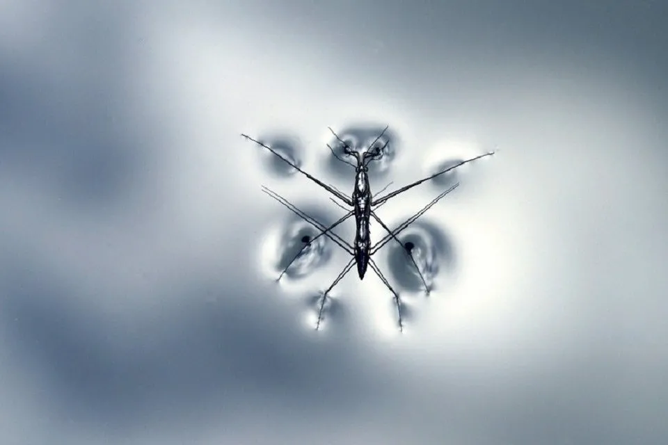 eyecatch