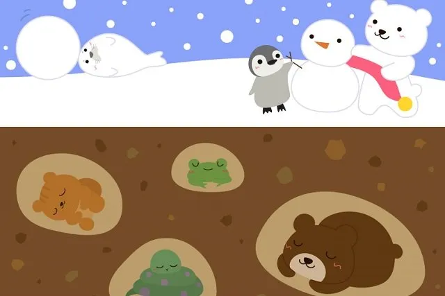 冬の土中で冬眠する動物たち