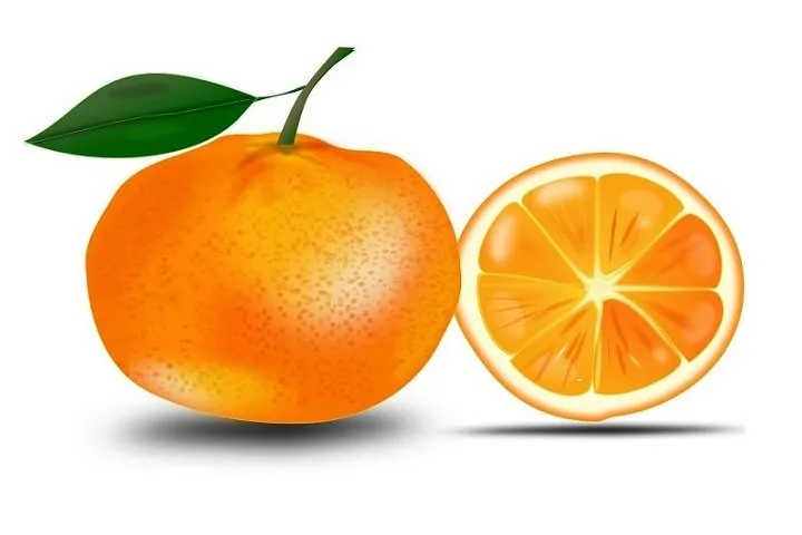 オレンジとカットオレンジ―