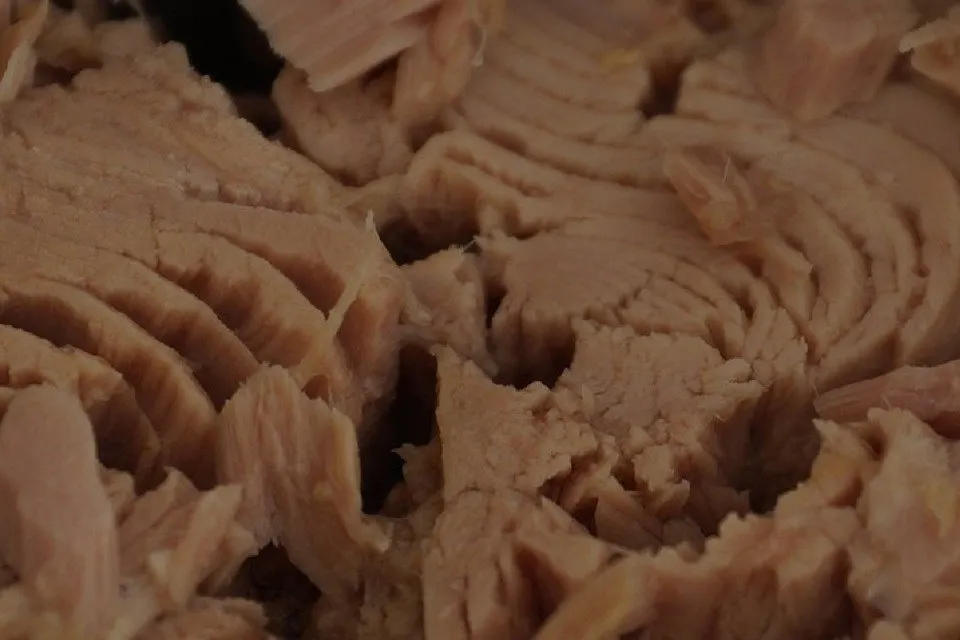 たくさんのマグロのフレーク