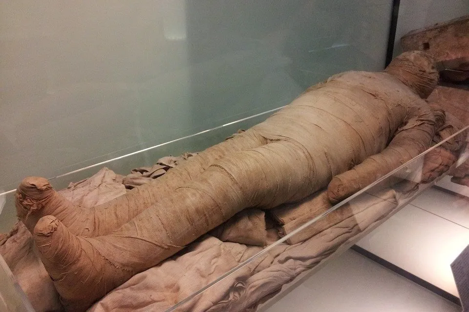 ガラスケースの中のミイラ