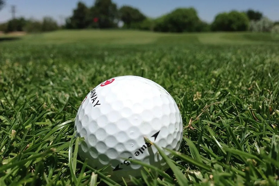ボコボコのゴルフボール
