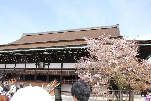 左近の桜と右近の橘