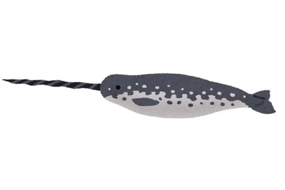 narwhal