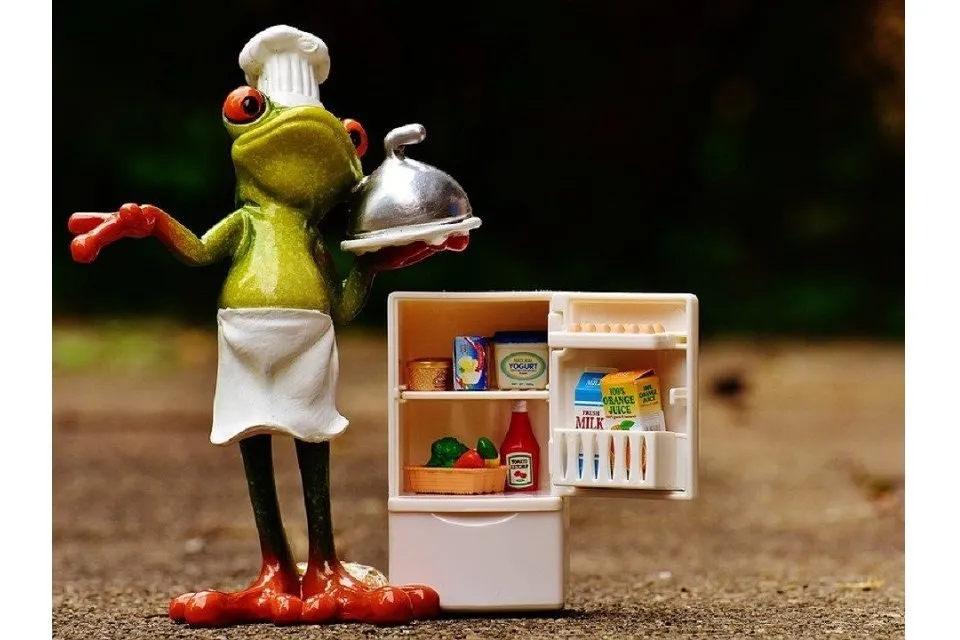カエルの料理人と冷蔵庫