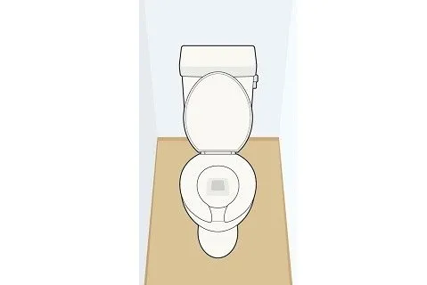 水の張った便器