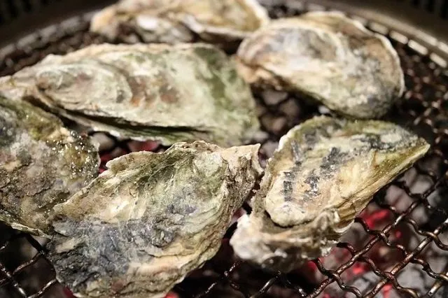 網焼きされるカキ