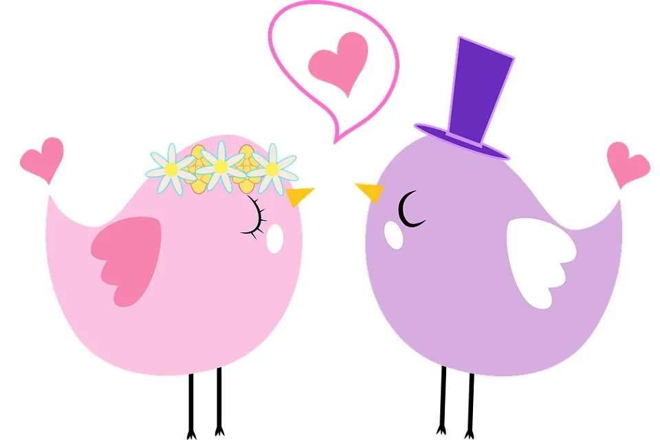 恋する鳥のカップル