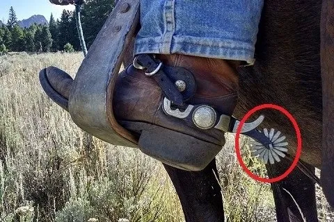 カウボーイの靴に付いた拍車