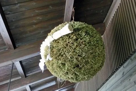 酒屋の入口にある杉玉